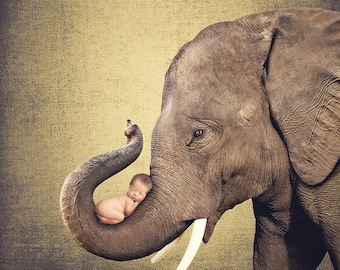 Elephant Head Close-Up, Backdrop, Digital, Child Photo, Newborn, Baby Photography, Portrait, Instant Download, Nature, Scrapbook