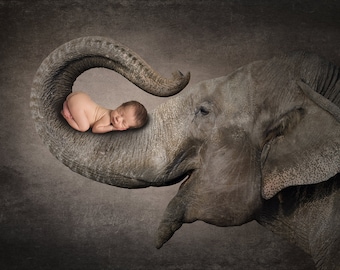 Elephant Black Background, Digital Background, Digital Backdrop, Photo Backdrop, Backdrop, Child, Photoshop, Newborn, Photo Collage
