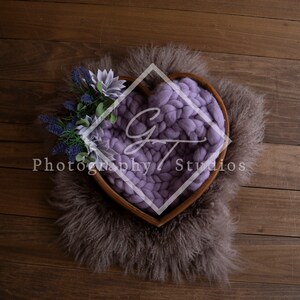 Newborn Photography Heart Bowl Digital Backdrop