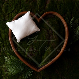 Newborn Photography Heart Bowl Digital Backdrop