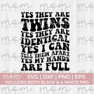 Identieke tweeling Svg Png, Twin Mom Svg Png, Twin Mama Svg Png, grappige tweeling svg, tweeling gezegde svg, tweeling moeder shirt, tweeling citaten, tweeling vader svg
