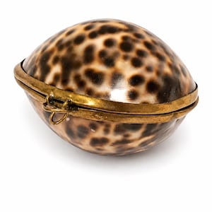 May include: An oval-shaped box crafted from a polished cowrie shell with a natural brown and cream leopard-like spotted pattern. The shell is encased in a brass metal frame with a hinged closure and a small circular loop attached to the front.