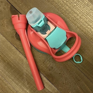 May include: A baby bottle with a teal and pink design. The bottle has a pink handle and a teal top. The bottle is made of plastic and has a clear nipple. A pink bottle cleaner is next to the bottle.
