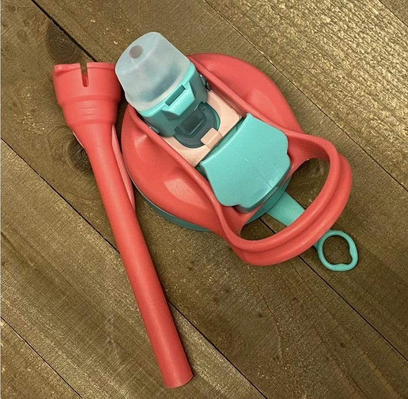 May include: A baby bottle with a teal and pink design. The bottle has a pink handle and a teal top. The bottle is made of plastic and has a clear nipple. A pink bottle cleaner is next to the bottle.