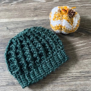 May include: A dark green crocheted beanie hat with a textured stitch pattern. The hat is made with a soft yarn and has a slouchy fit.