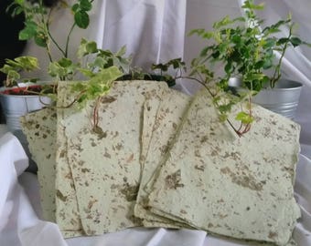 Handmade Light Green with Lavender / Ivy / Rose Leaves Recycled Paper Sheets