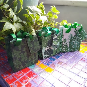 2 sachets-cadeaux Tiny Plants avec étiquettes assorties - Lot de trois,