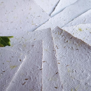 Carta fatta a mano in formato A5 con semi di tarassaco, fogli di carta riciclata, carta botanica, carta bianca.