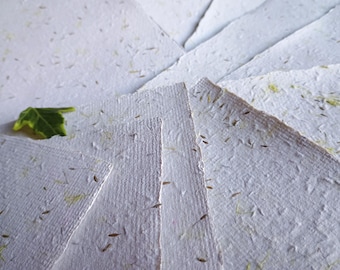 Carta fatta a mano con semi di tarassaco A5: 10 fogli botanici riciclati