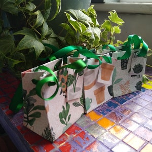Petites plantes en sachets avec étiquettes assorties - Lot de trois,