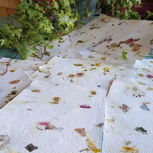 Fogli di carta riciclata fatta a mano con fiori A5, fiori pressati in carta, carta botanica, 10 fogli di carta da 15 cm per 21 cm,