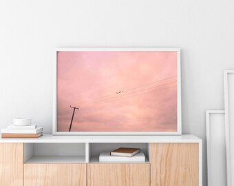 Väggkonst | Halltryck | Heminredning | Fågeltryck | Fågelfotografi | Fågelkonst | Tryck för kök | Konsttryck: Fåglarna