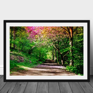 Puede incluir: Impresión enmarcada de un sendero forestal. El camino está bordeado de árboles verdes y árboles florecientes de color rosa y amarillo vibrantes. El sendero marrón claro se adentra en la distancia.