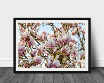 Magnolia Wall Art | Floral Photography | Home Decor | Spring | Wall Print | Living room print | Nature Print | Magnolia Tree in Bloom