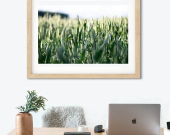 Nature Wall Art | Nature Photography | Home Decor | Botanical Gift | Wall Print | Living Room Print | Office Print | Wheat Print