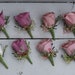 see more listings in the boutonnières & Corsages section