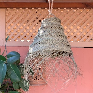 May include: A woven straw lampshade hanging from a wooden ceiling. The lampshade is light brown and has a fringe of loose strands. The ceiling is made of bamboo.