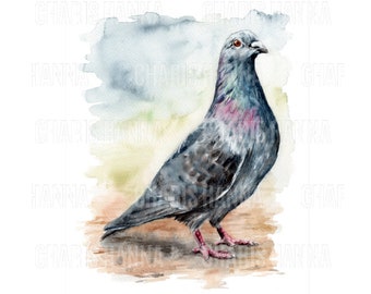 Pigeon Giclée Print of Watercolour Painting | Bird illustration | Watercolor art | open edition | City wildlife