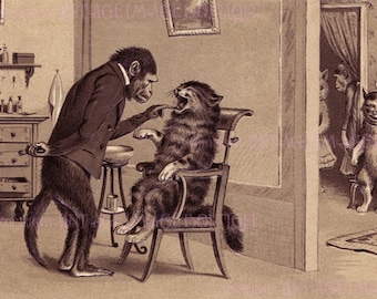 Antique Victorian Cute Illustration Of Cats & Kittens Visiting A Monkey Dentist Get Well Soon  Medical Scientific  5x7 Greeting Card