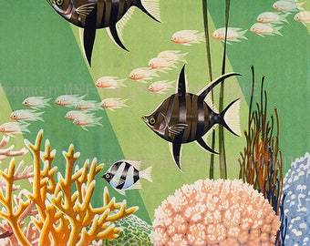 Fabulous 1950's Illustration Of Tropical Angel Fish Swimming Amongst  Different Types Of Corals & Fish 5x7 Greeting Card