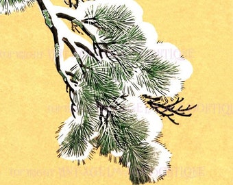 Antique Victorian Japanese Snow Covered Pine Tree Bough Christmas Season Winter Solstice Holiday 5x7 Greeting Card