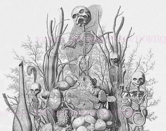 May include: A black and white engraving of a still life featuring a collection of skulls, skeletons, and other anatomical specimens arranged on a pedestal. The artwork is a macabre and intriguing depiction of mortality and the human form.