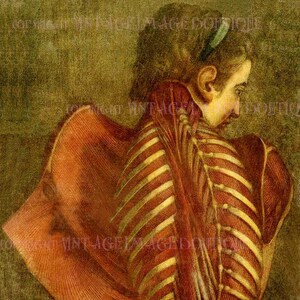 Ancienne illustration médicale géorgienne L'ange écorché par D' Agoty Medical Scientific 5 x 7 Carte de voeux