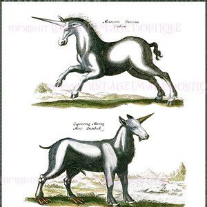 Ilustración antigua del siglo XVII de tres unicornios / bestias imaginarias 5x7 tarjeta de felicitación