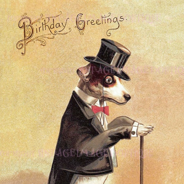 Antique Edwardian Illustration Of A Dapper Jack Russell Terrier In Top Hat And Tails  Birthday  5x7 Greeting Card