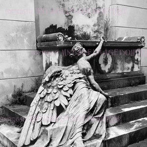 Belle photographie de deuil gothique évocatrice vintage d’un tombeau de monument élaboré dans un cimetière italien 5x7 Carte de vœux