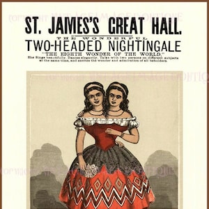Carte de voeux Antique Victorian Amusement Act, Millie & Christine, jumeaux siamois, Music Hall Entertainment 5 x 7