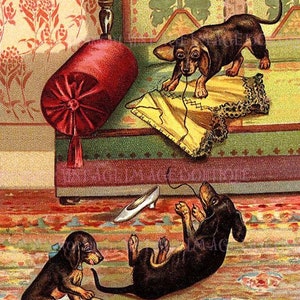 Cartão de felicitações adorável da década de 1920 com três filhotes de dachshund atrevidos, 5x7