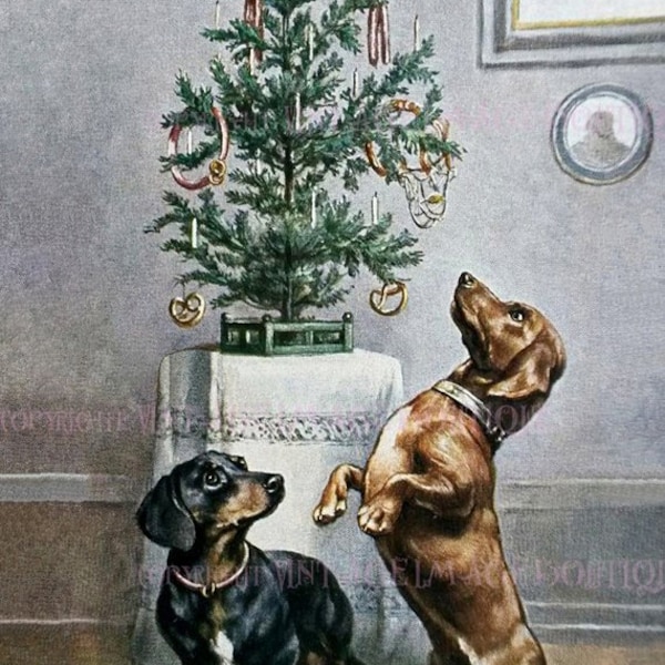 Antique 1920's Illustration Of Two Dachshunds Admiring A Sausage Decorated Christmas Tree Season Winter Solstice Holiday 5x7 Greeting Card