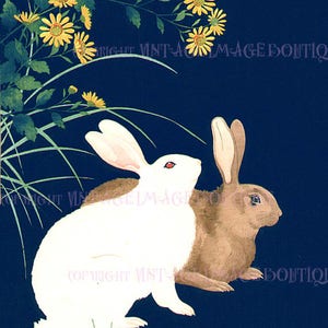 Antike japanische Illustration einer zwei entzückenden Hasen-Kaninchen-Karte aus dem 19.