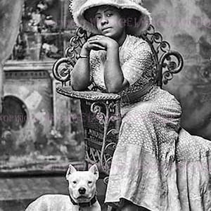 Antike Edwardian Schwarz & Weiß-Porträt einer schönen schwarzen Frau mit ihrem geliebten Pit Bull Terrier Hund 5 x 7 Grußkarte