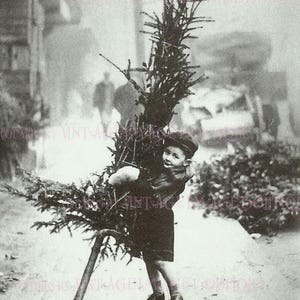 Antikes edwardianisches Foto eines kleinen Jungen, der einen Weihnachtsbaum-Saison-Winter-Sonnenwende-Urlaub 5x7-Grußkarte trägt