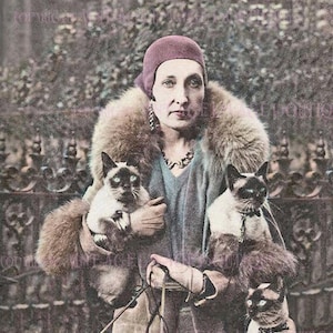 Jahrgang 1930 Farbfoto einer exzentrischen Dame und ihre fünf siamesischen Katzen 5x7 Grußkarte
