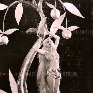 Maravilhoso retrato fotográfico da década de 1920 de uma adorável coquete posando como Eva no Éden, cartão comemorativo 5x7