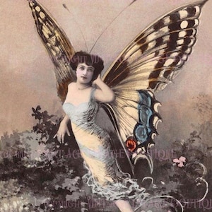 Magnifique portrait photo victorien antique teinté à la main d'une belle coquette posant dans un costume de papillon 5 x 7 Carte de voeux