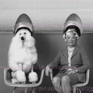 Humorvolle 1960er Jahre Schwarz Weiß Foto Still einer Frau mit ihrem weißen Standard Pudel unter Haartrockner im Friseur Salon 5 x 7 Grußkarte