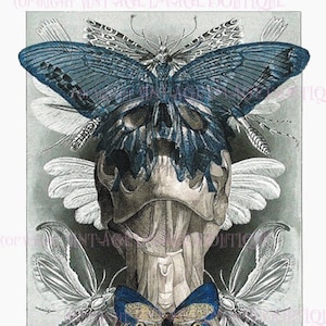 Antike-Gothic Style Surreal Illustration Eines Schädels Anbetet mit Schmetterlingen Und Insekten Phantasmagorical 5x7 Grußkarte