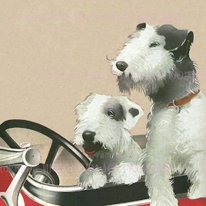 Illustration vintage des années 1920 de deux Fox Terriers à poil dur dans une voiture de sport rouge Carte de vœux 5 x 7