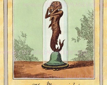 Antique Georgian Illustration For An Exhibition Of The First Fiji / Feejee Mermaid Medical Scientific  5x7 Greeting Card