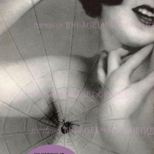 Meraviglioso ritratto fotografico in bianco e nero degli anni '30 di una graziosa civetta impigliata in una ragnatela, biglietto d'auguri 5x7