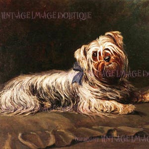Cartão comemorativo antigo vitoriano com retrato de um adorável Yorkshire Terrier 5x7