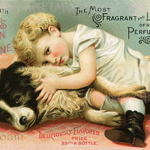 Ilustração de propaganda de perfume vitoriano antigo de uma criança abraçando um border collie, cartão comemorativo 5x7