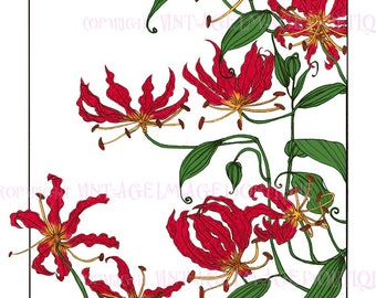 Antica illustrazione botanica giapponese di un giglio glorioso in fiore, risalente all'inizio del XX secolo, 5x7, biglietto d'auguri.