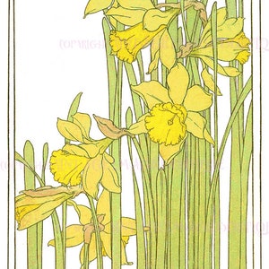 アンティーク エドワード朝の芸術と工芸品 黄色い水仙の花の植物イラスト 5x7 グリーティング カード