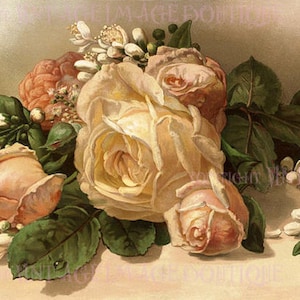 Antigua ilustración botánica victoriana del siglo XIX de un ramo de rosas de té 5x7 Tarjeta de felicitación
