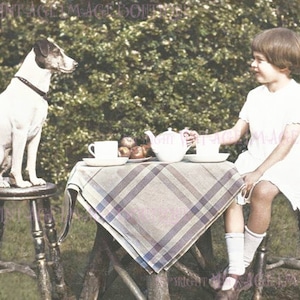 Lovely Antique 1920's Colorized Bild Eines Darling Kleines Mädchen Haben Eine Tee-Party mit Ihrem Terrier Hund 5x7 Grußkarte